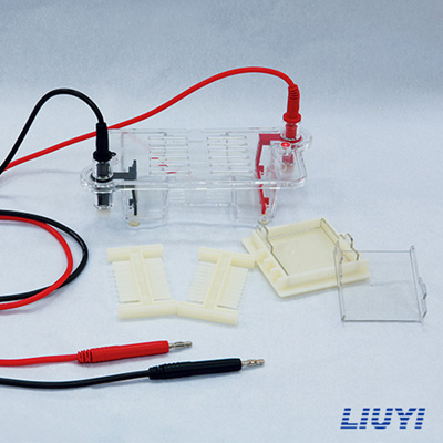 北京六一DYCP-31BN核酸電泳儀瓊脂糖水平電泳儀(迷你型)